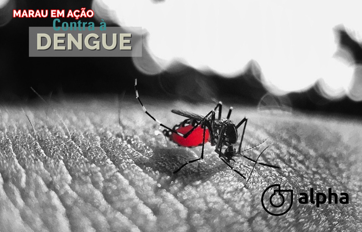 02 ALPHA SEMANA 04 01 dengue SITE