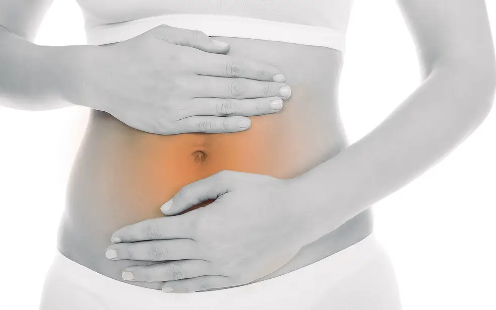 Hábitos alimentares e consumo de água ajudam no funcionamento do intestino