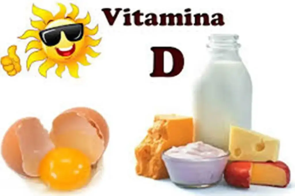 Saiba mais sobre a VITAMINA D