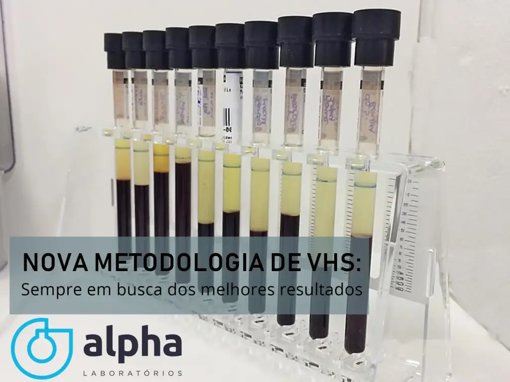 Sempre em busca dos melhores resultados