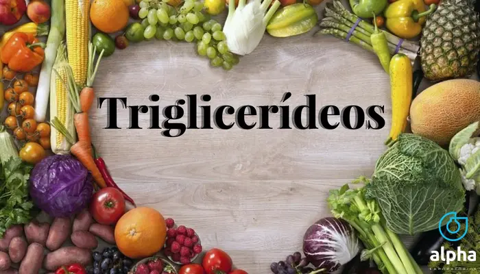 TRIGLICERÍDEOS: COMBUSTÍVEL INDISPENSÁVEL