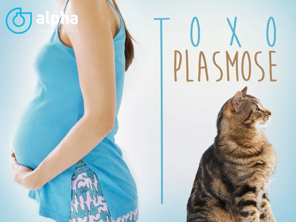 Cuidado com a toxoplasmose