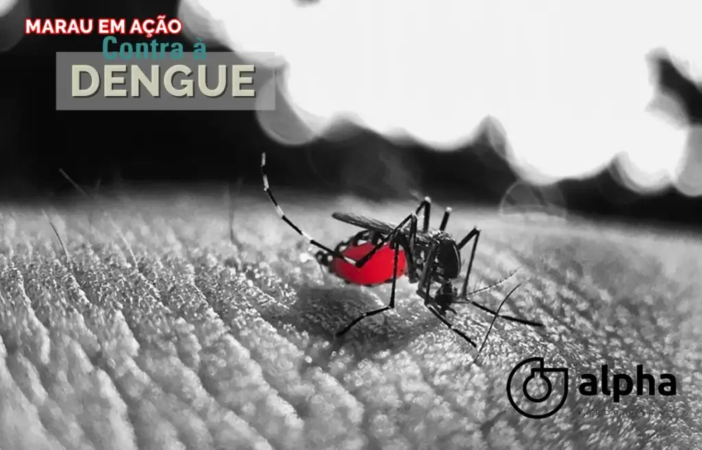 Alerta para os cuidados contra o mosquito da dengue