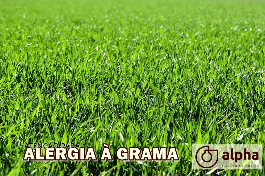 ALERGIA À GRAMA