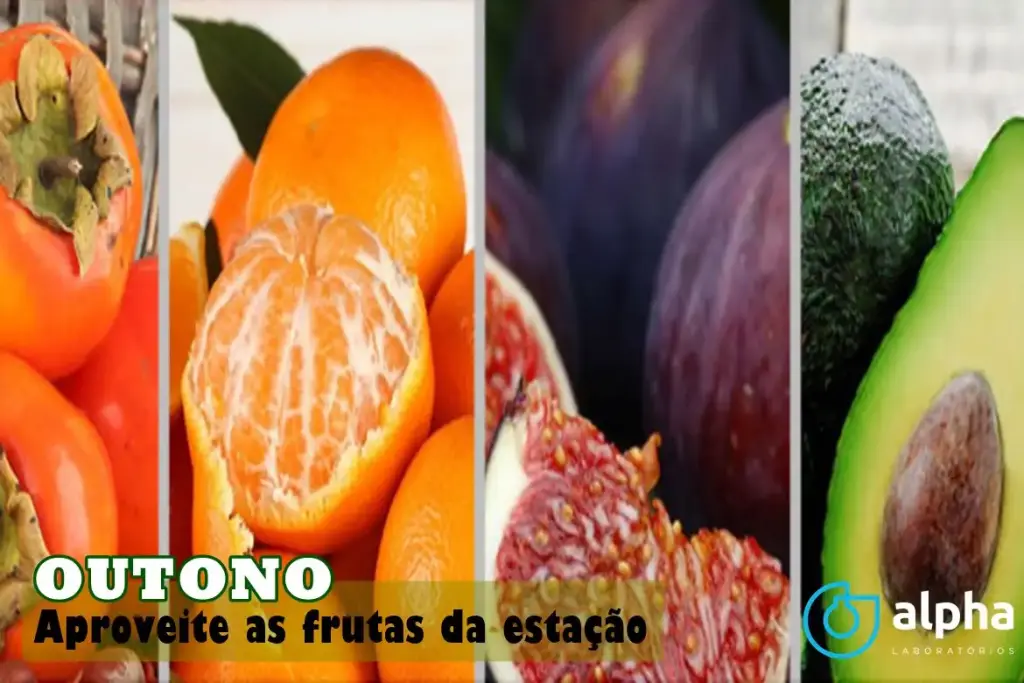 FRUTAS DA ESTAÇÃO