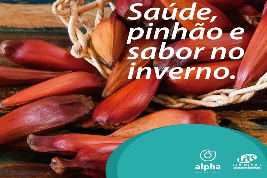 PINHÃO NO INVERNO